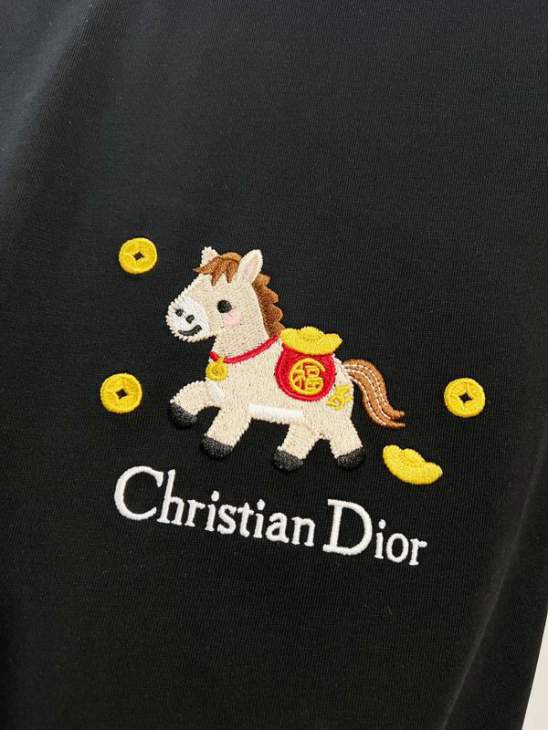 Dior T Shirts Short _SKUDiorS-2XLtltx12216026